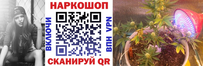 Как найти закладки Стрежевой Alpha PVP  Псилоцибиновые грибы  blacksprut маркетплейс  КОКАИН  Меф мяу мяу  Бошки Шишки 