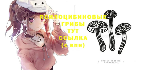 СК Богородицк