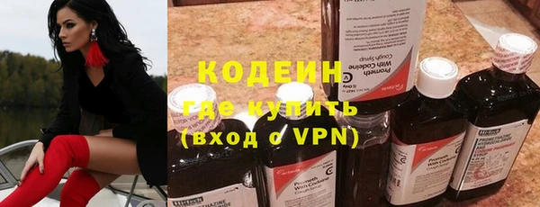 метадон Богданович