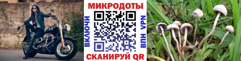 Псилоцибиновые грибы прущие грибы Стрежевой